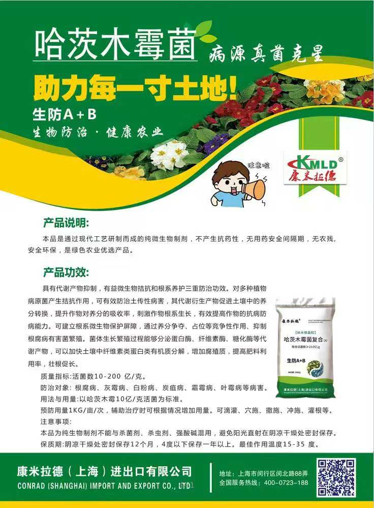 ��ҳ����